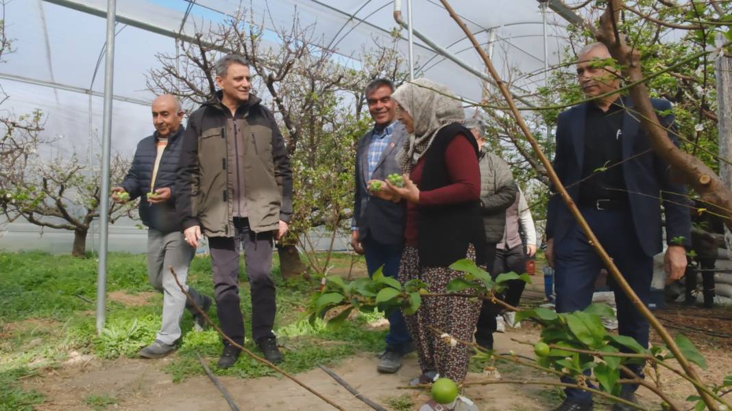 Tanesi 1000 liradan daha pahalı: Talebe yetişilmiyor 2